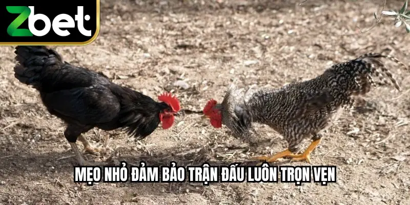 Mẹo nhỏ đảm bảo trận đấu luôn trọn vẹn