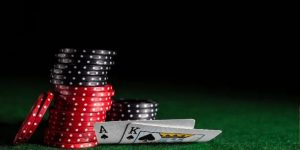 giấy phép hoạt động